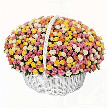 Премиум букет из: Розы в Калтане