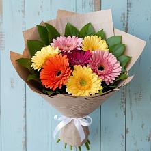 Букет цветов из:  Герберы #REPLACE_PRED# Калтане