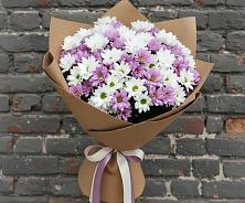 Букет цветов из:  Хризантемы #REPLACE_PRED# Калтане