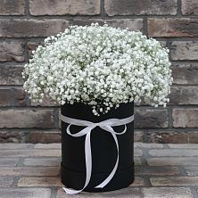 Цветочная композиция из Гипсофила в шляпной коробке в Калтане