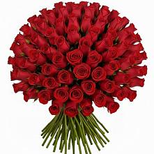 Букет Красные розы Чери Лав в Калтане