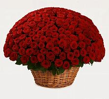 Премиум букет из: Розы #REPLACE_PRED# Калтане