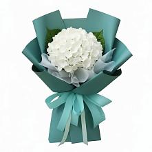 Букет цветов из:  Гортензия в Калтане